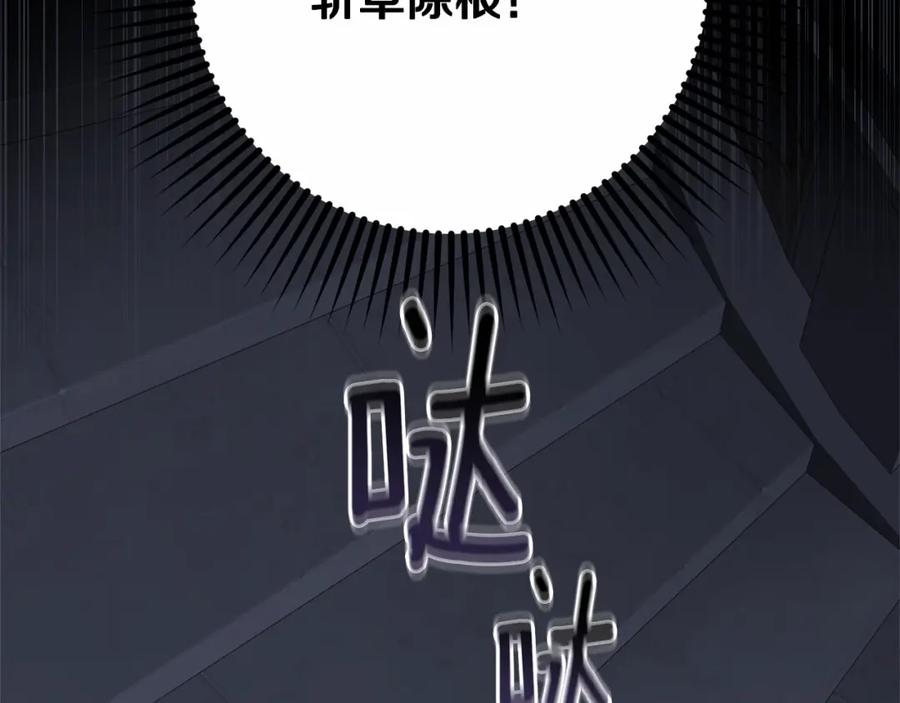 第238页