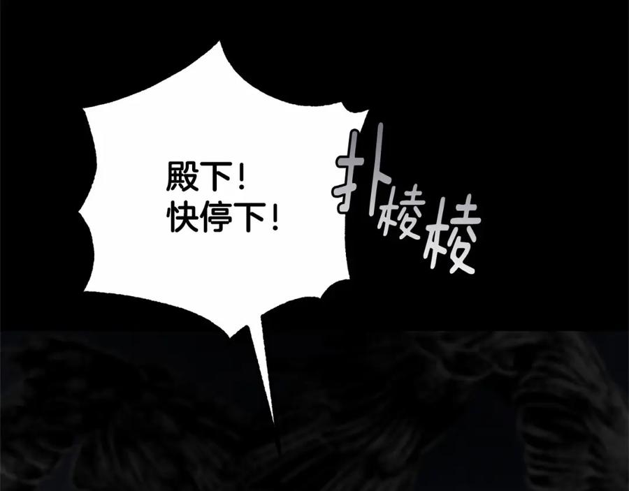 第246页