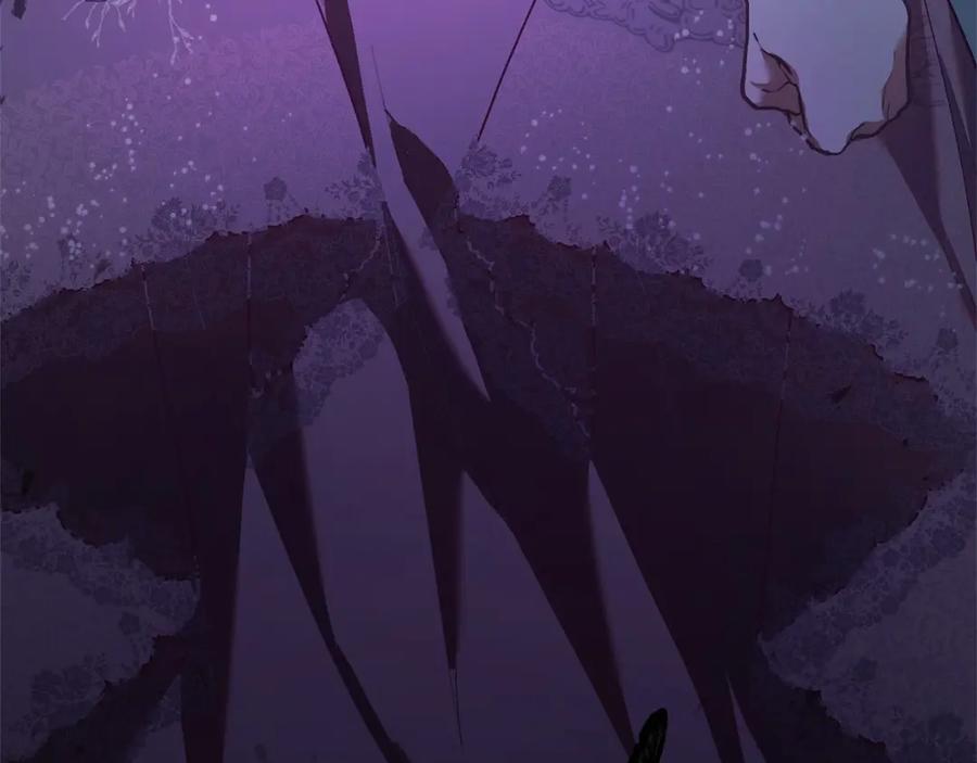 第256页
