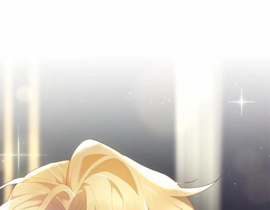第239页