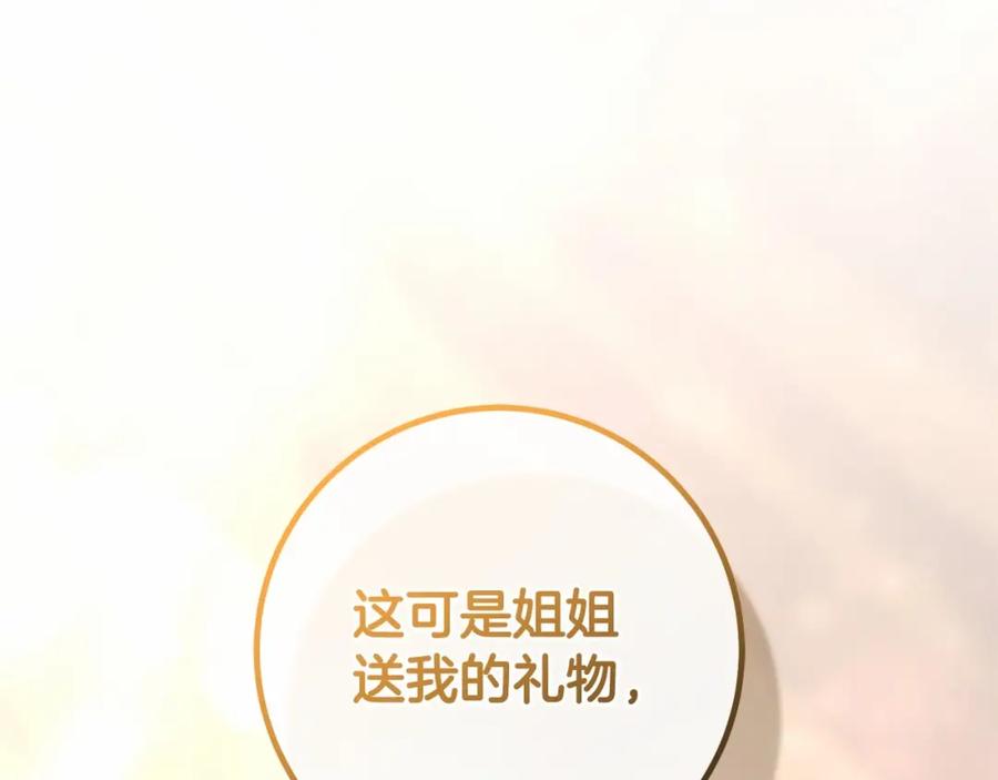 第223页