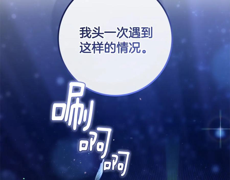 第224页