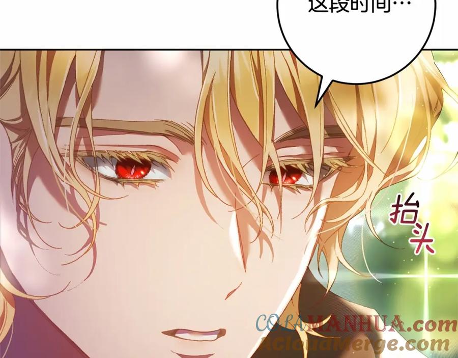 第221页