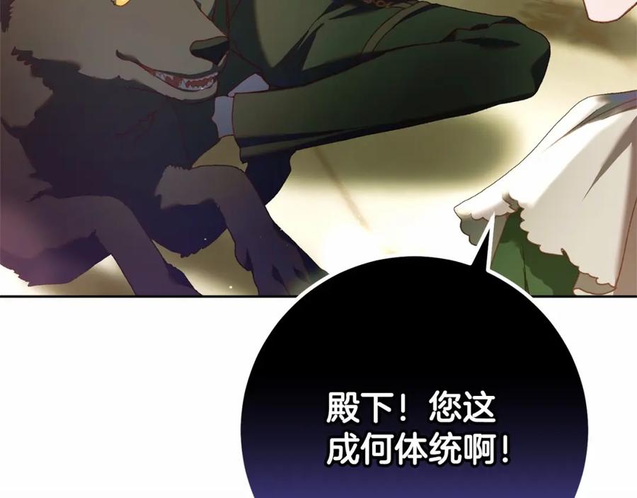 第215页