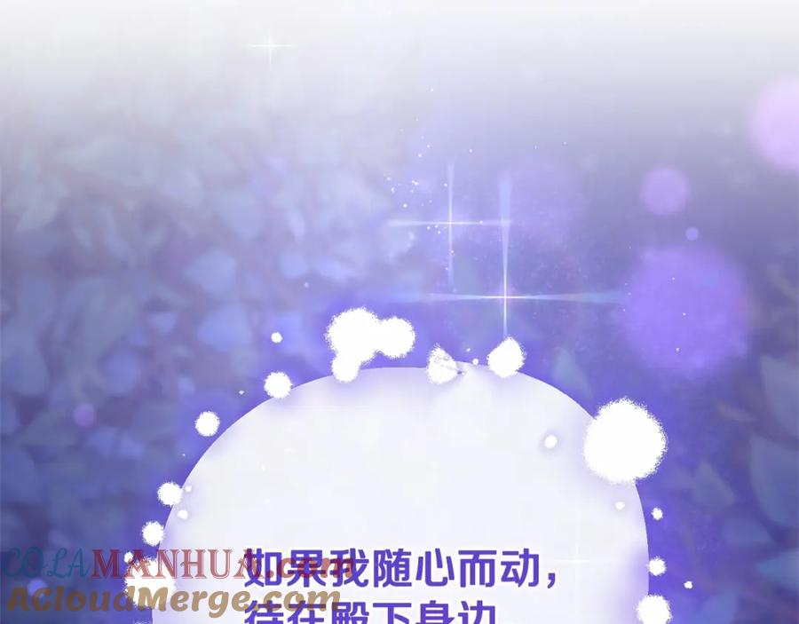 第217页