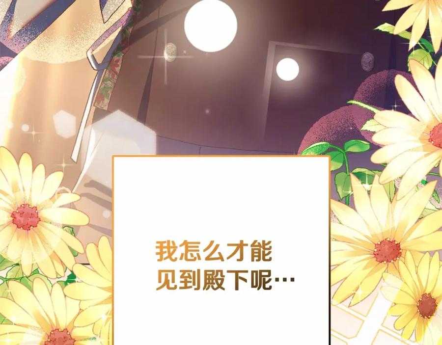 第215页
