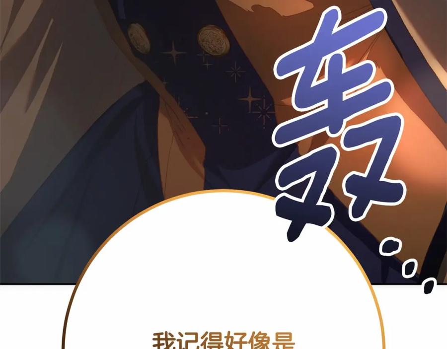 第223页