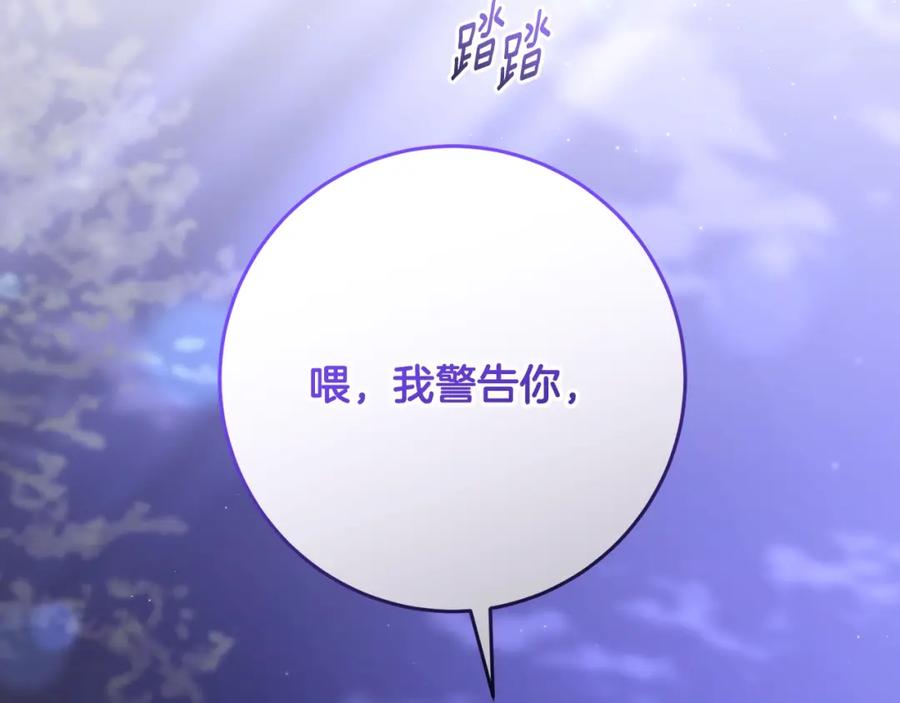第223页