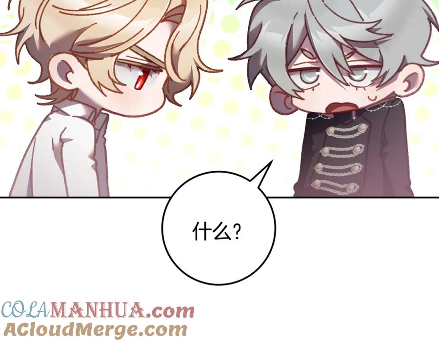 第205页