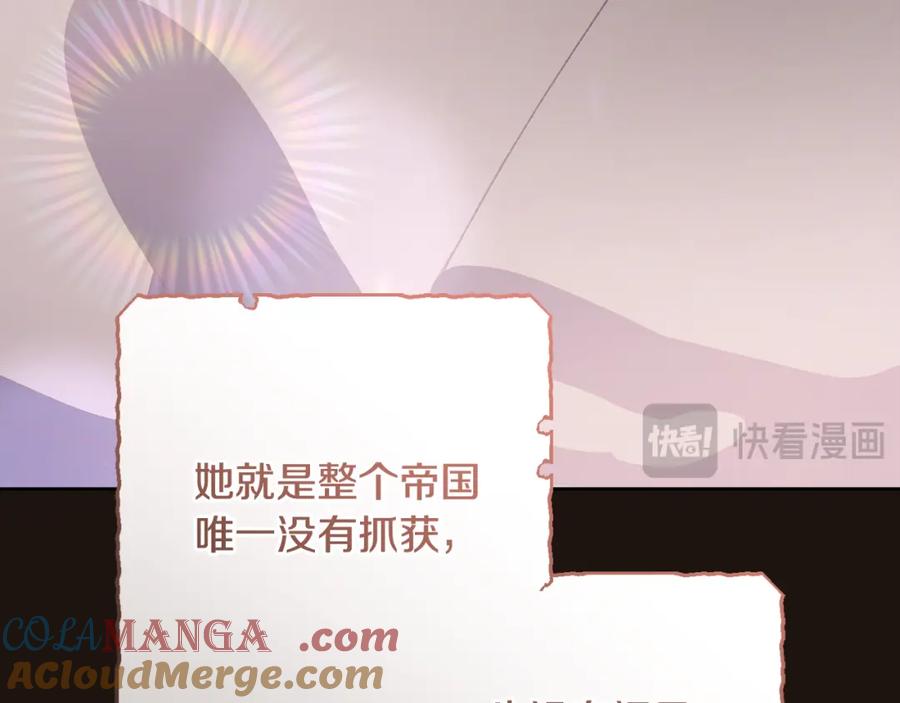 第241页