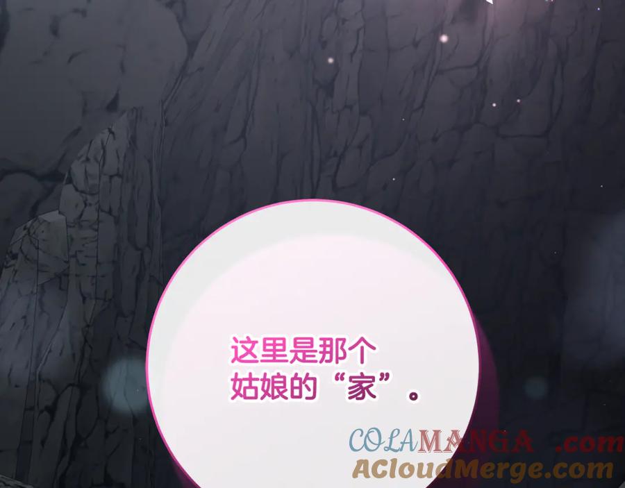 第221页