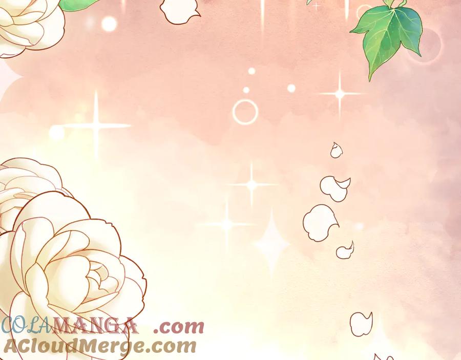 第221页