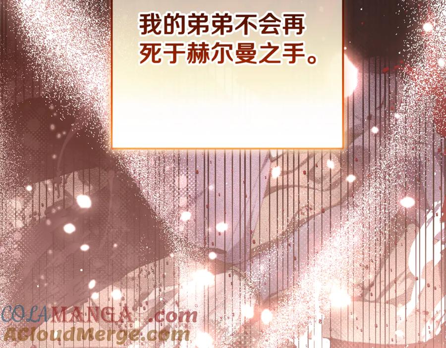 第217页