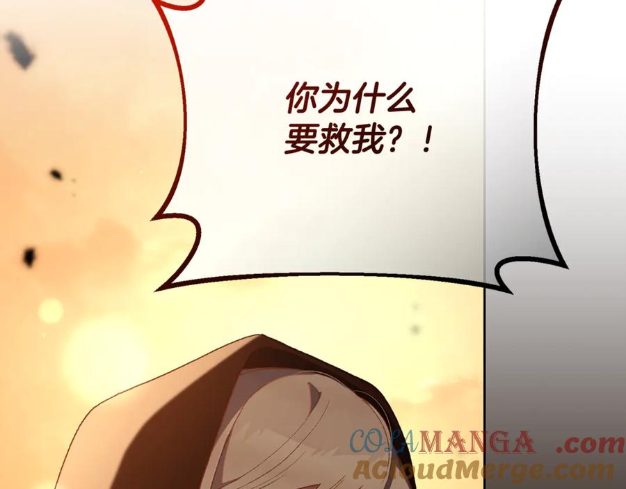第229页
