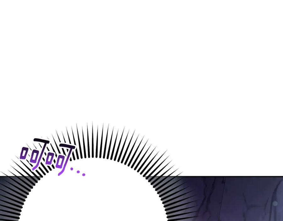 第260页