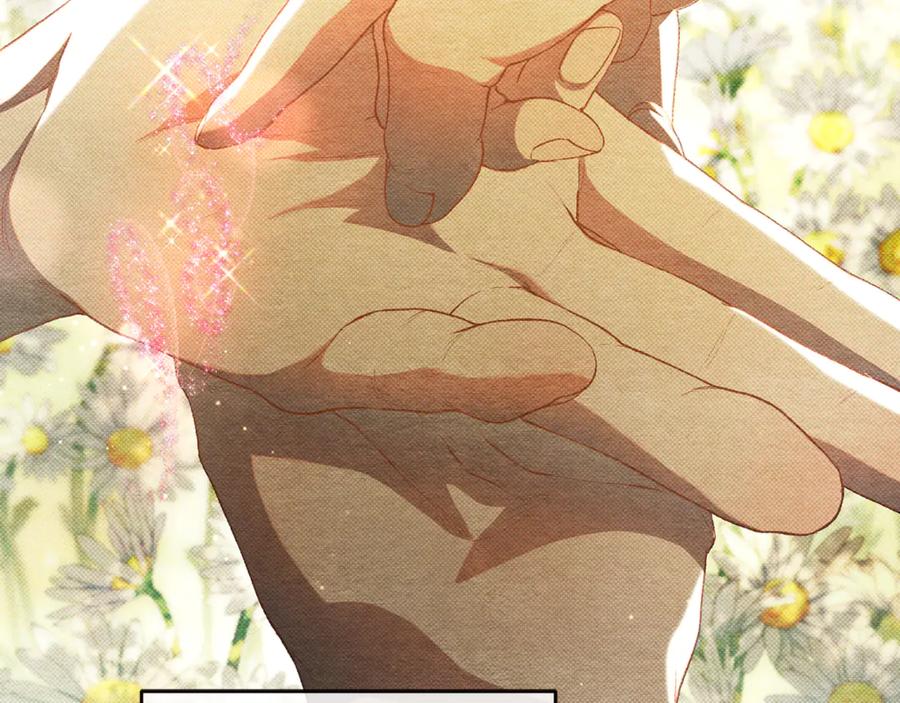 第223页