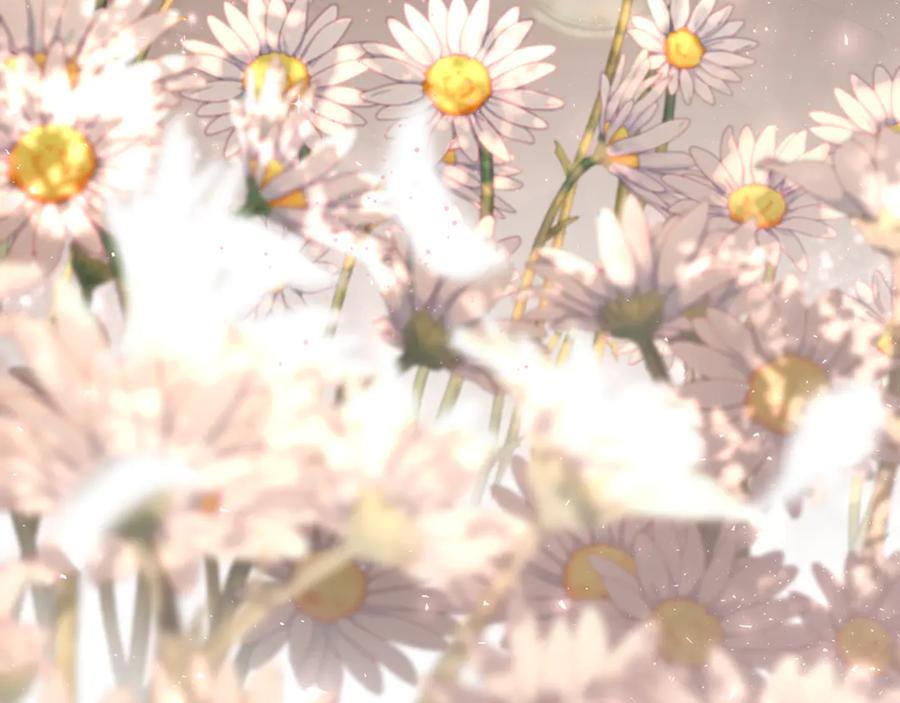 第244页