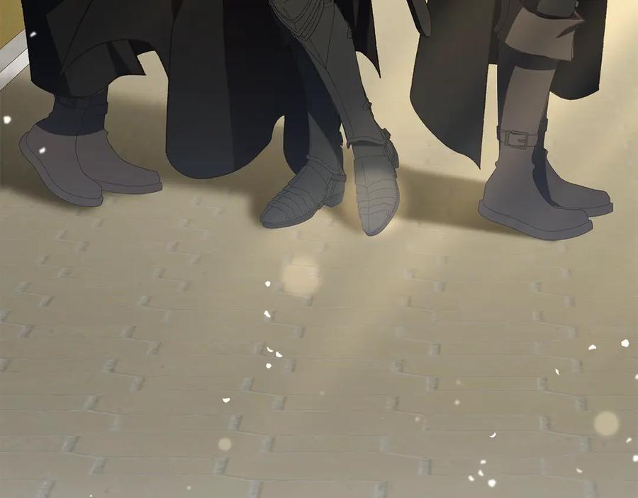 第204页