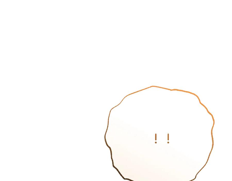 第236页