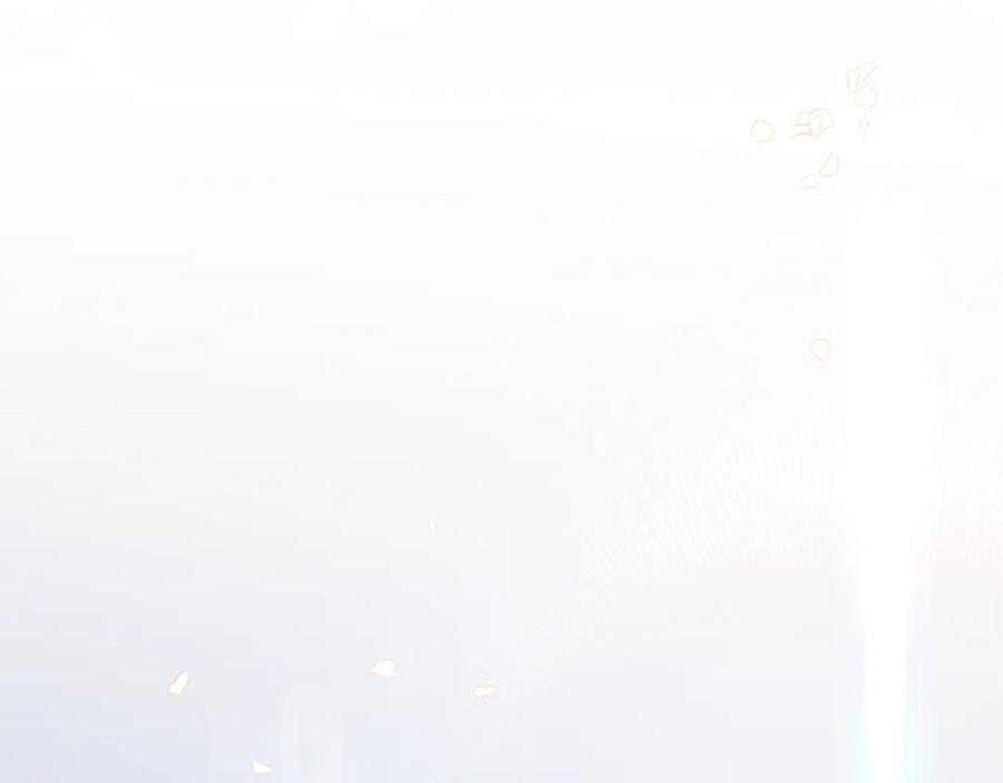 第244页