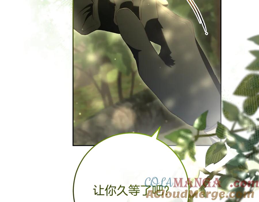 第233页