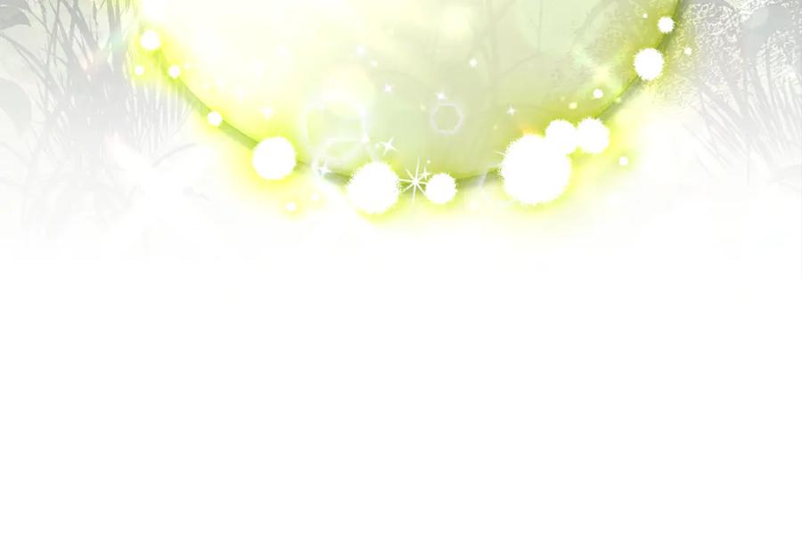 第239页