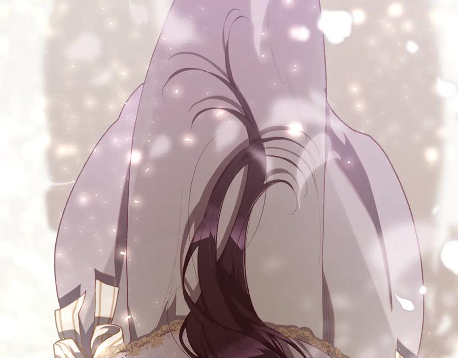 第256页