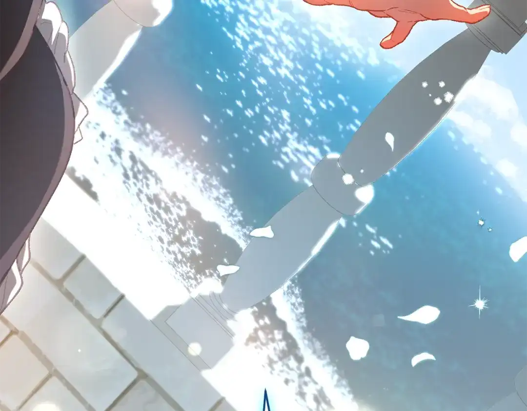 第204页