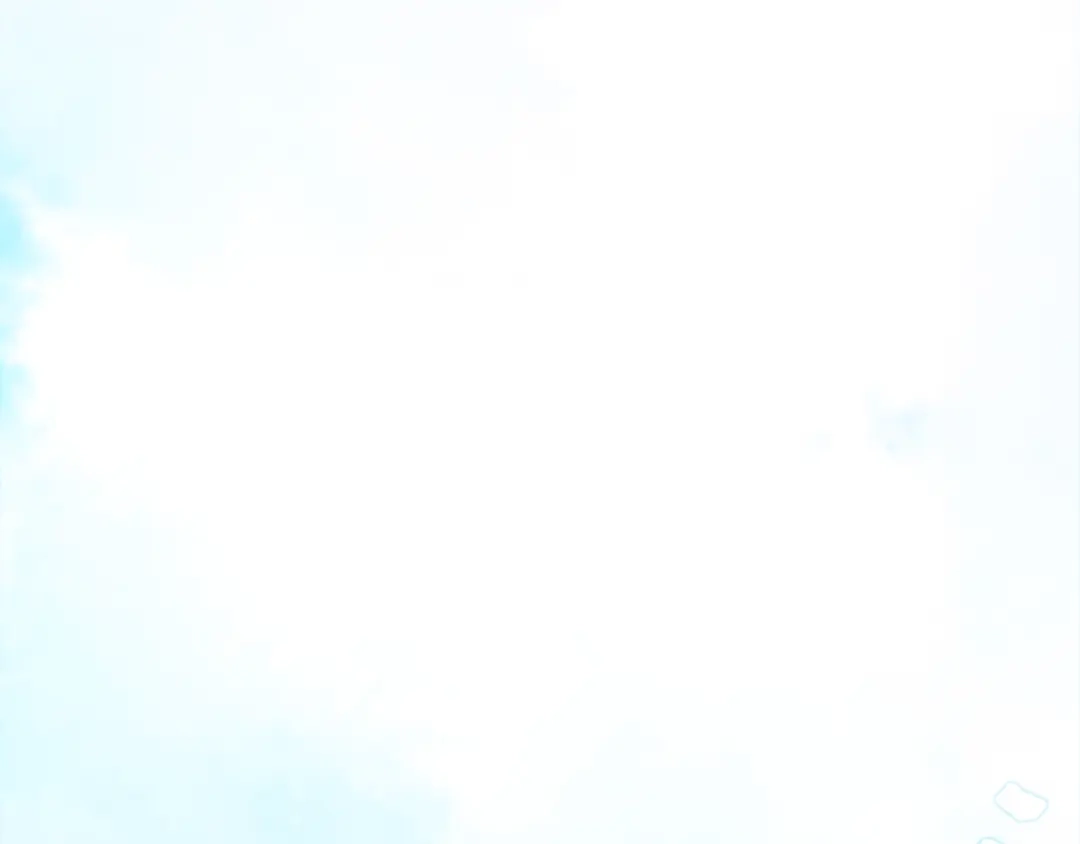 第215页