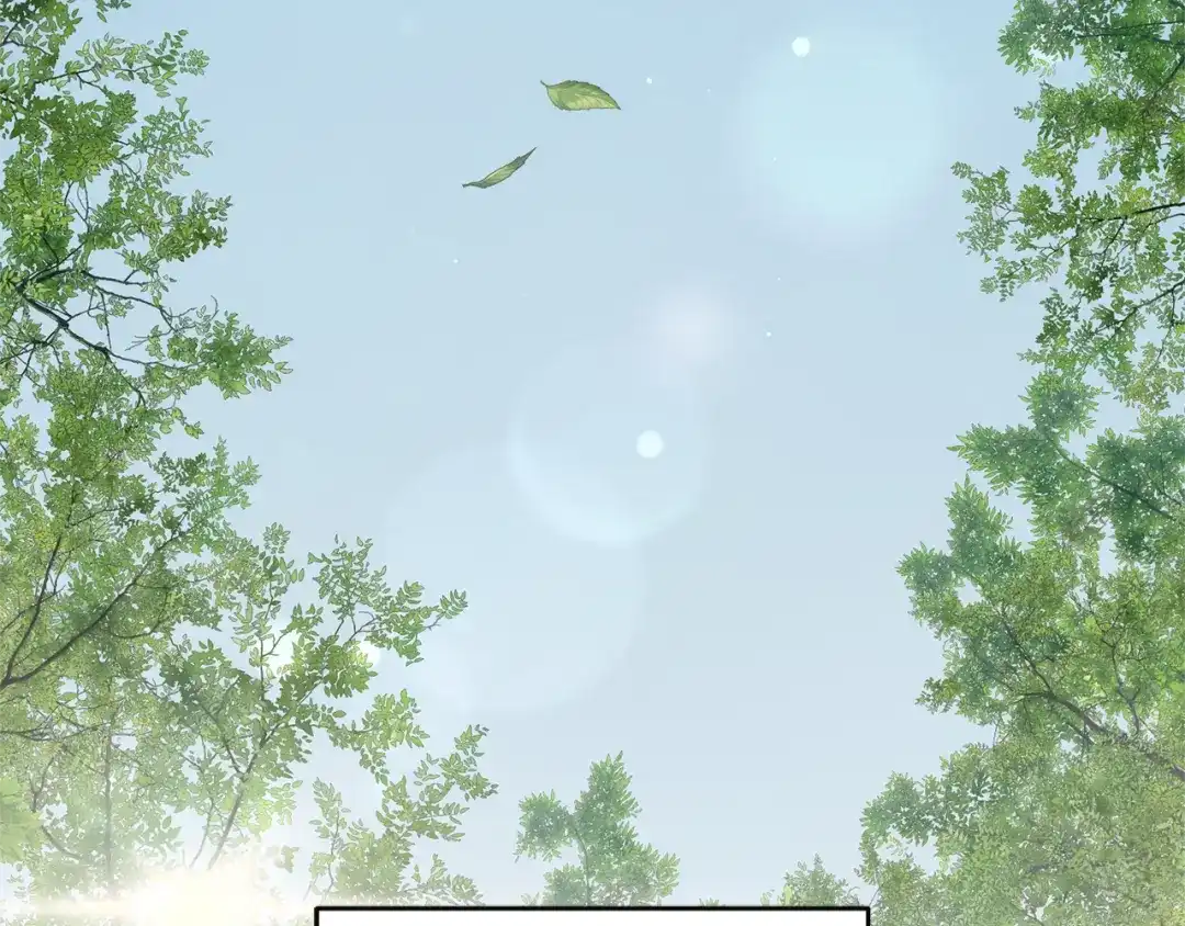 第491页