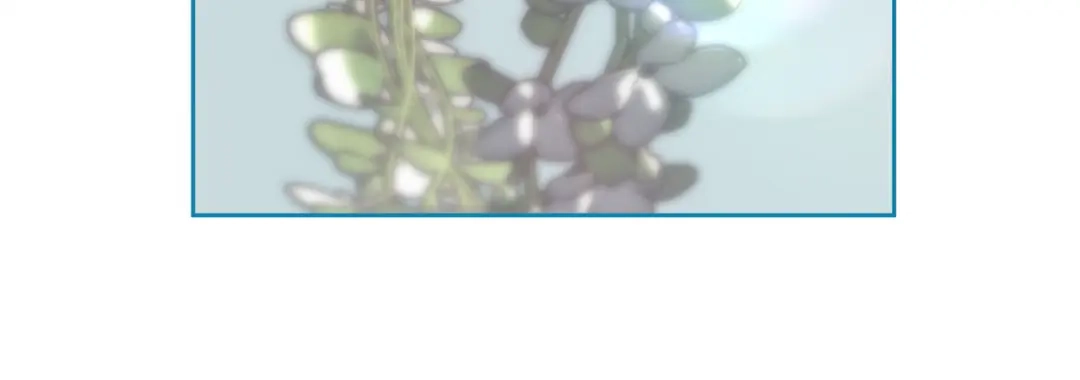 第839页