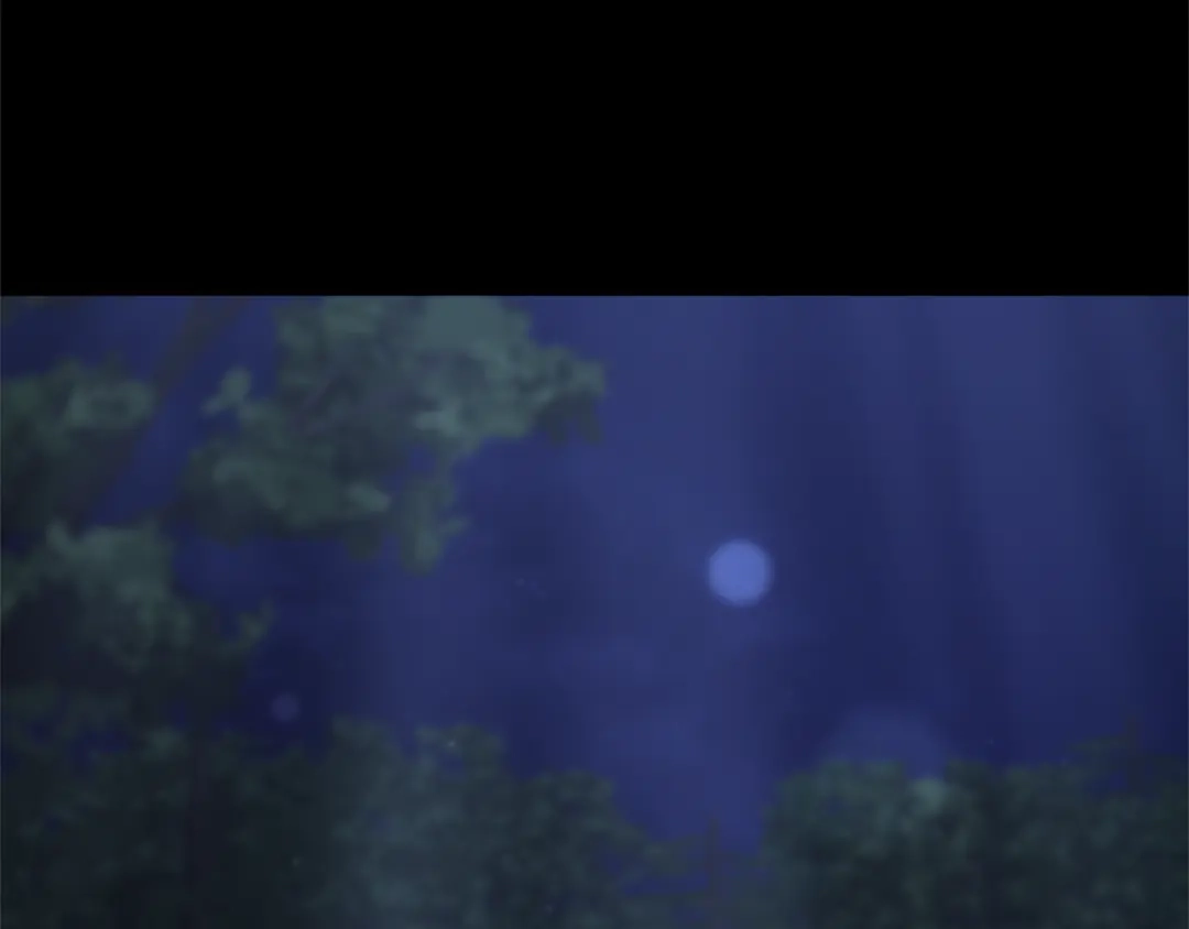 第188页