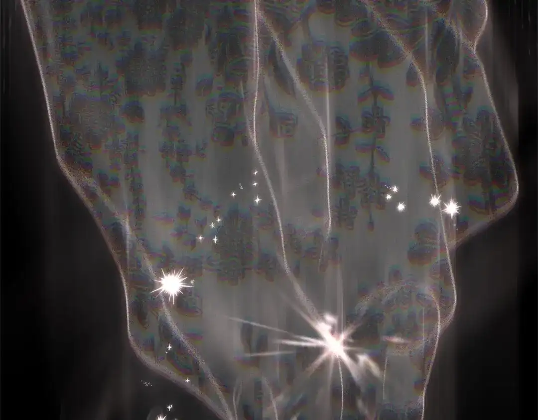 第224页