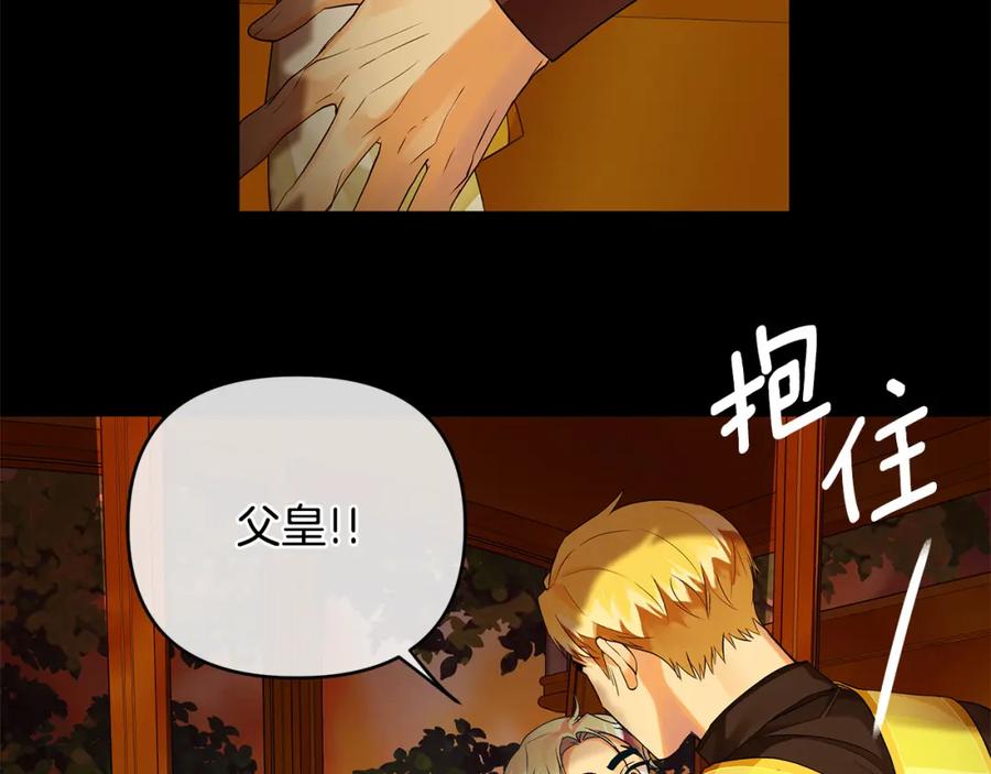 第208页