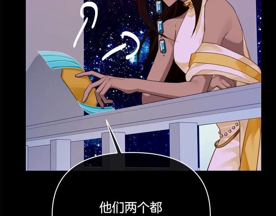 第223页