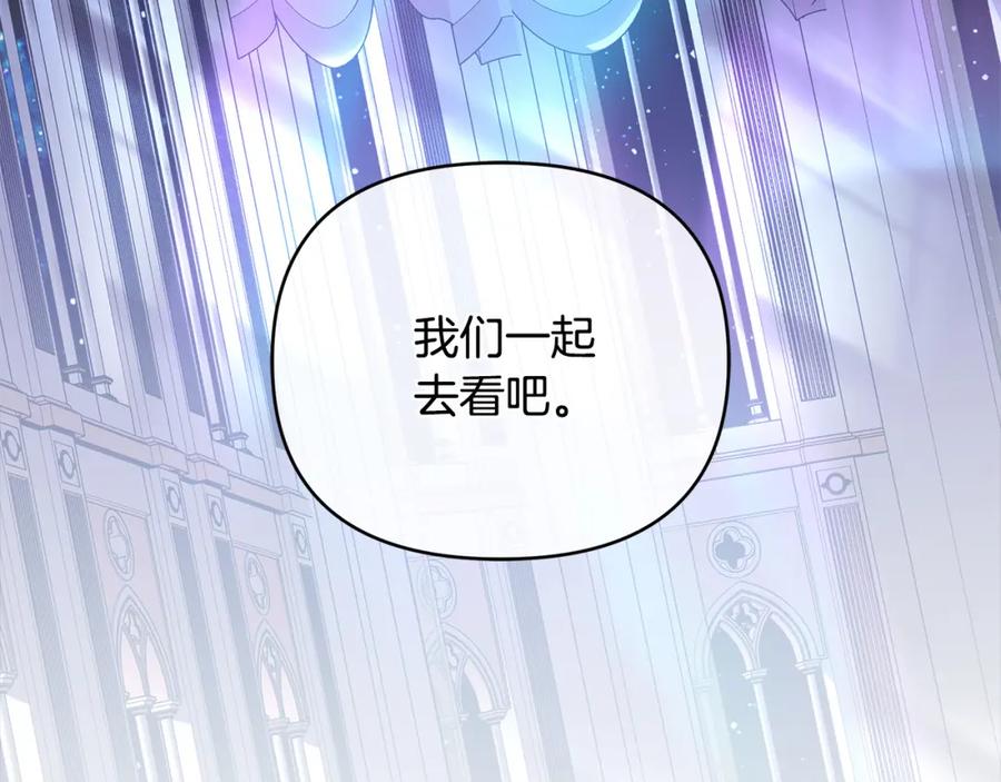 第223页