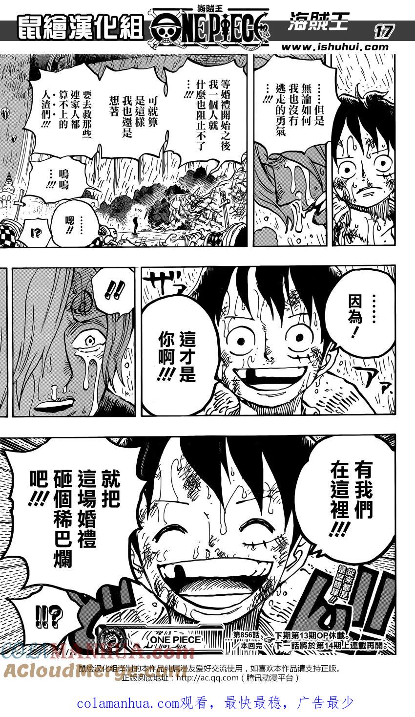 第17页