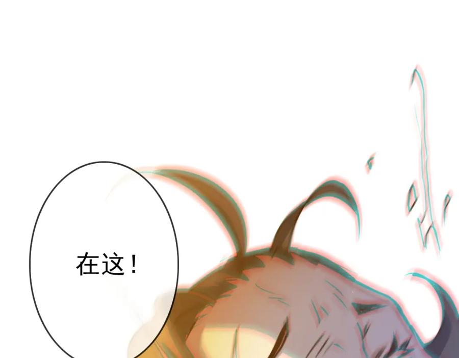 第215页