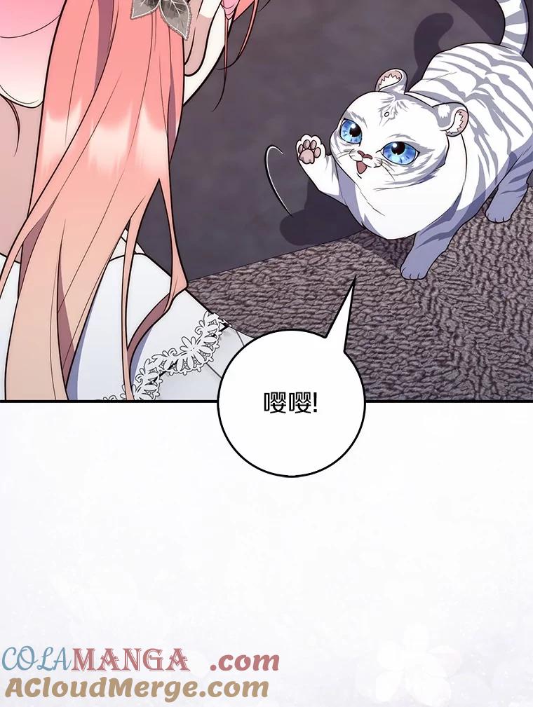 第258页