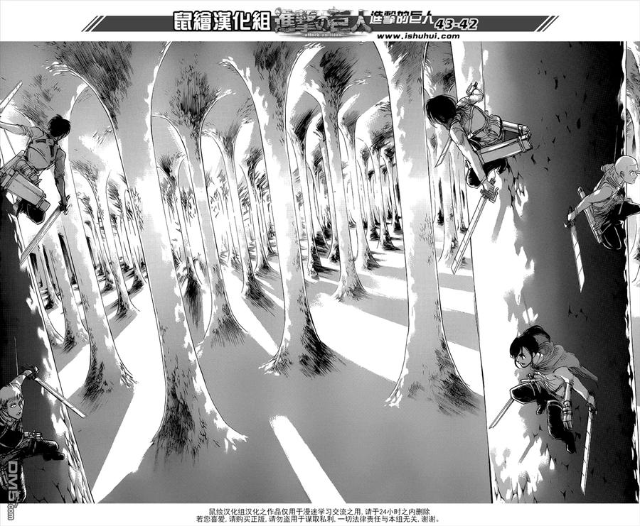 第42页