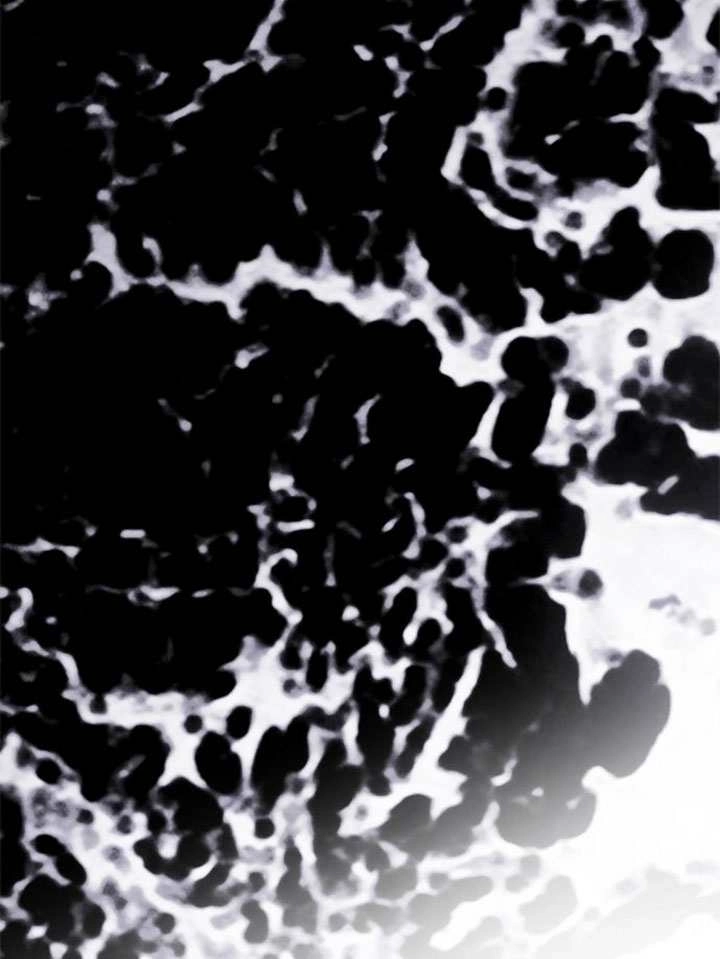第194页