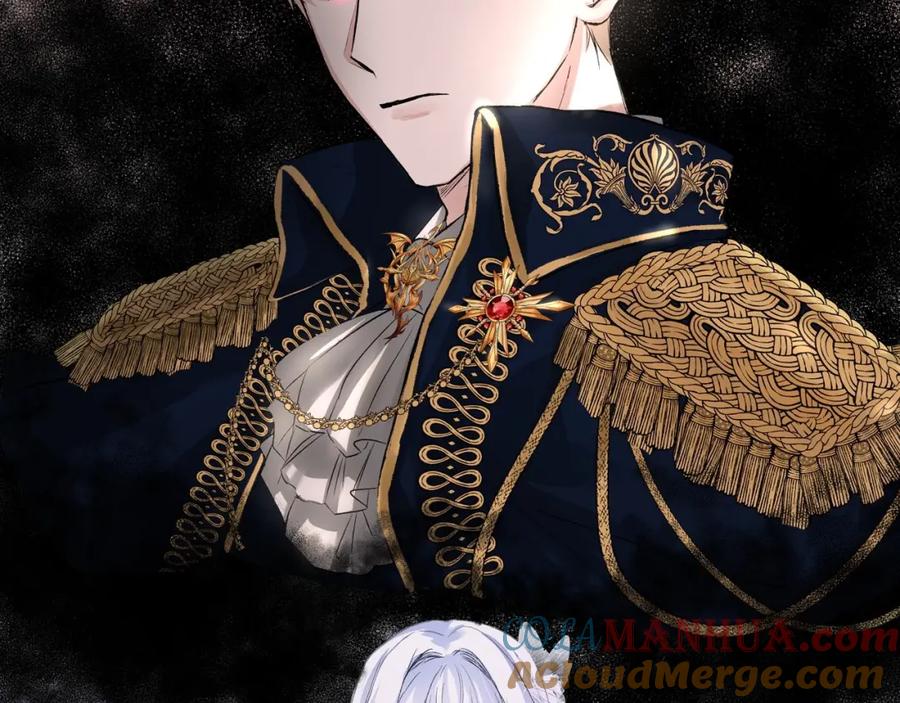 第221页