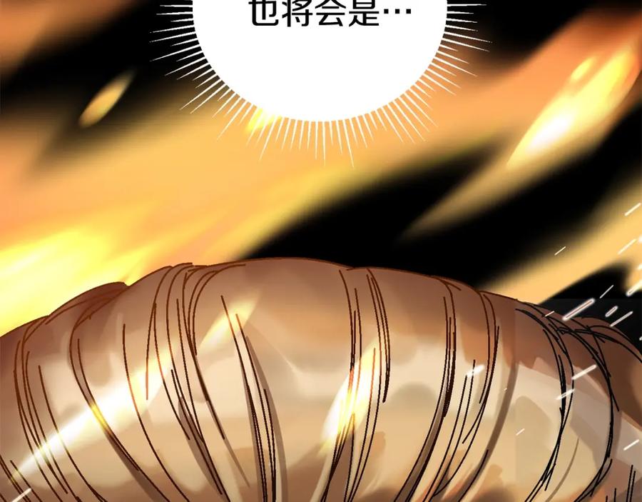 第214页