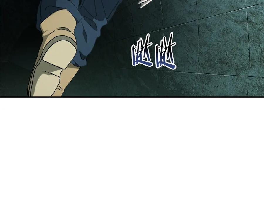 第194页