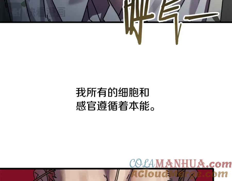 第241页