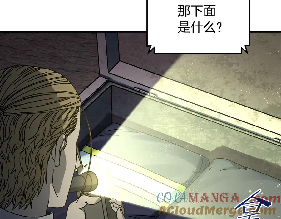 第213页