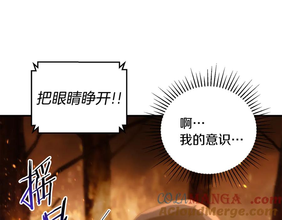 第217页