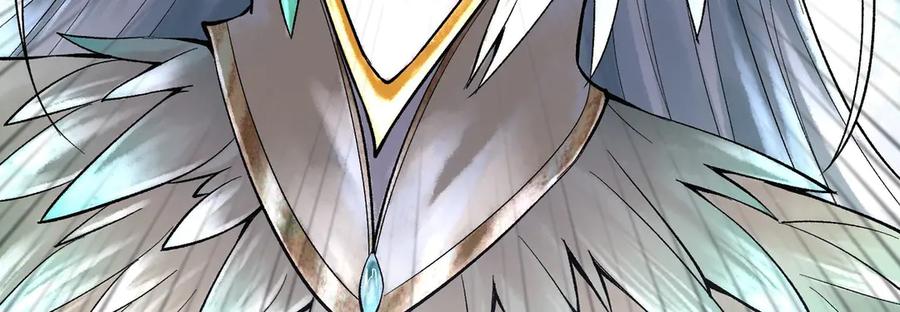 第242页