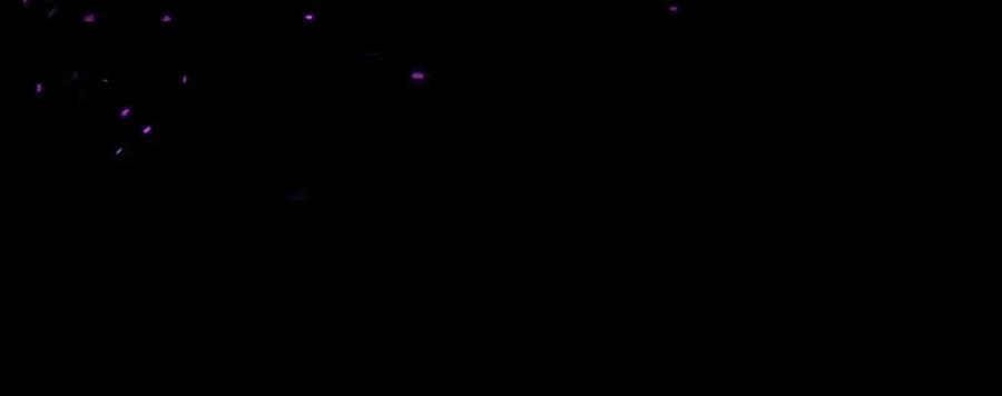 第218页