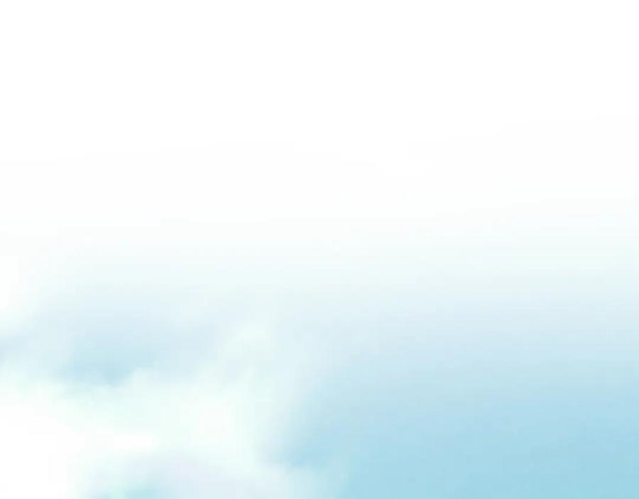 第204页